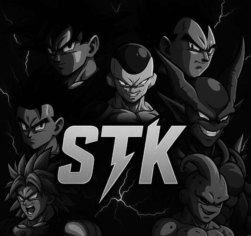 STK logo